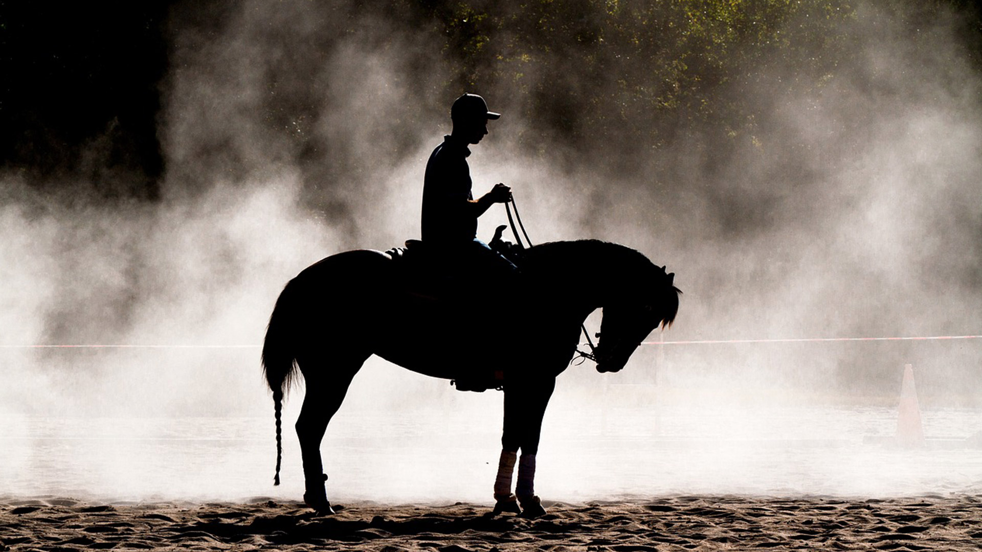 Una persona disfrutando de la actividad de montar a caballo en Almería